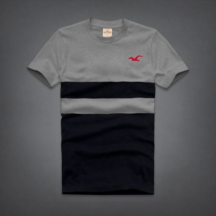 T-shirt Hollister Homme 2014